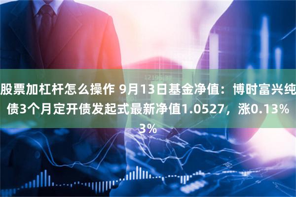 股票加杠杆怎么操作 9月13日基金净值：博时富兴纯债3个月定开债发起式最新净值1.0527，涨0.13%