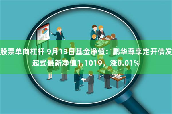 股票单向杠杆 9月13日基金净值：鹏华尊享定开债发起式最新净值1.1019，涨0.01%