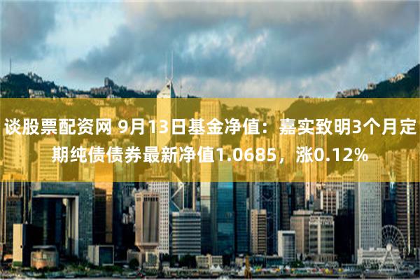 谈股票配资网 9月13日基金净值：嘉实致明3个月定期纯债债券最新净值1.0685，涨0.12%