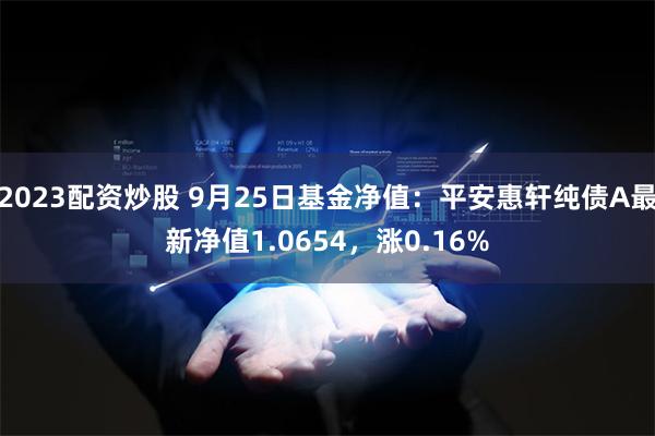 2023配资炒股 9月25日基金净值：平安惠轩纯债A最新净值1.0654，涨0.16%