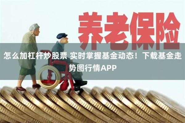 怎么加杠杆炒股票 实时掌握基金动态！下载基金走势图行情APP