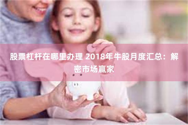 股票杠杆在哪里办理 2018年牛股月度汇总：解密市场赢家