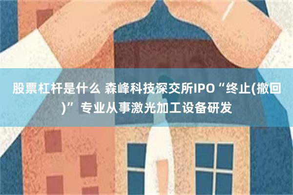 股票杠杆是什么 森峰科技深交所IPO“终止(撤回)” 专业从事激光加工设备研发