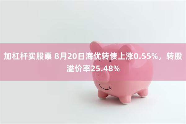 加杠杆买股票 8月20日海优转债上涨0.55%，转股溢价率25.48%
