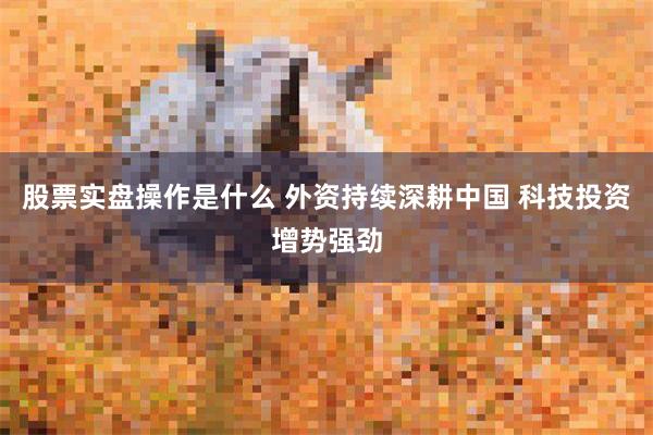股票实盘操作是什么 外资持续深耕中国 科技投资增势强劲