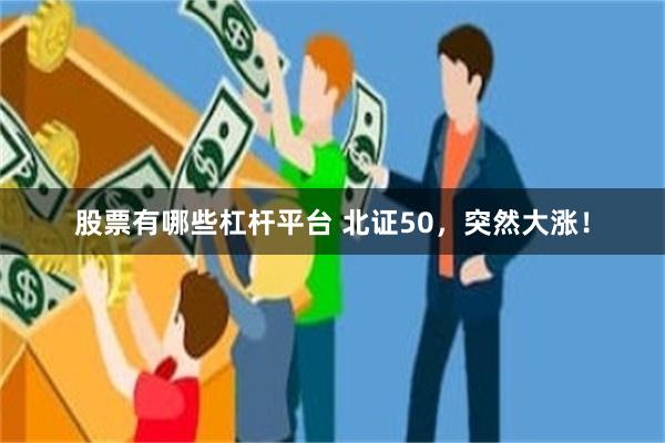 股票有哪些杠杆平台 北证50，突然大涨！