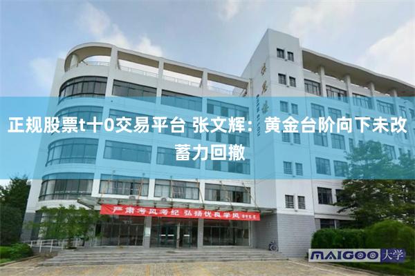 正规股票t十0交易平台 张文辉：黄金台阶向下未改 蓄力回撤