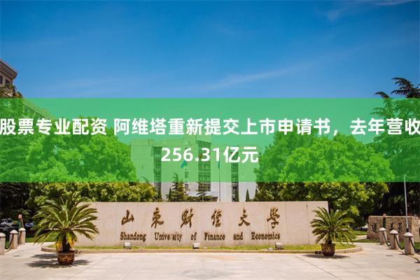 股票专业配资 阿维塔重新提交上市申请书，去年营收256.31亿元