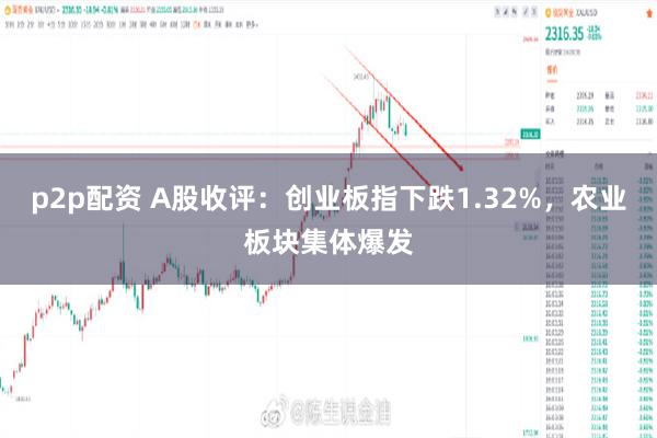 p2p配资 A股收评：创业板指下跌1.32%，农业板块集体爆发