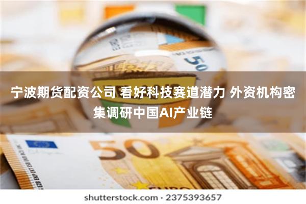 宁波期货配资公司 看好科技赛道潜力 外资机构密集调研中国AI产业链